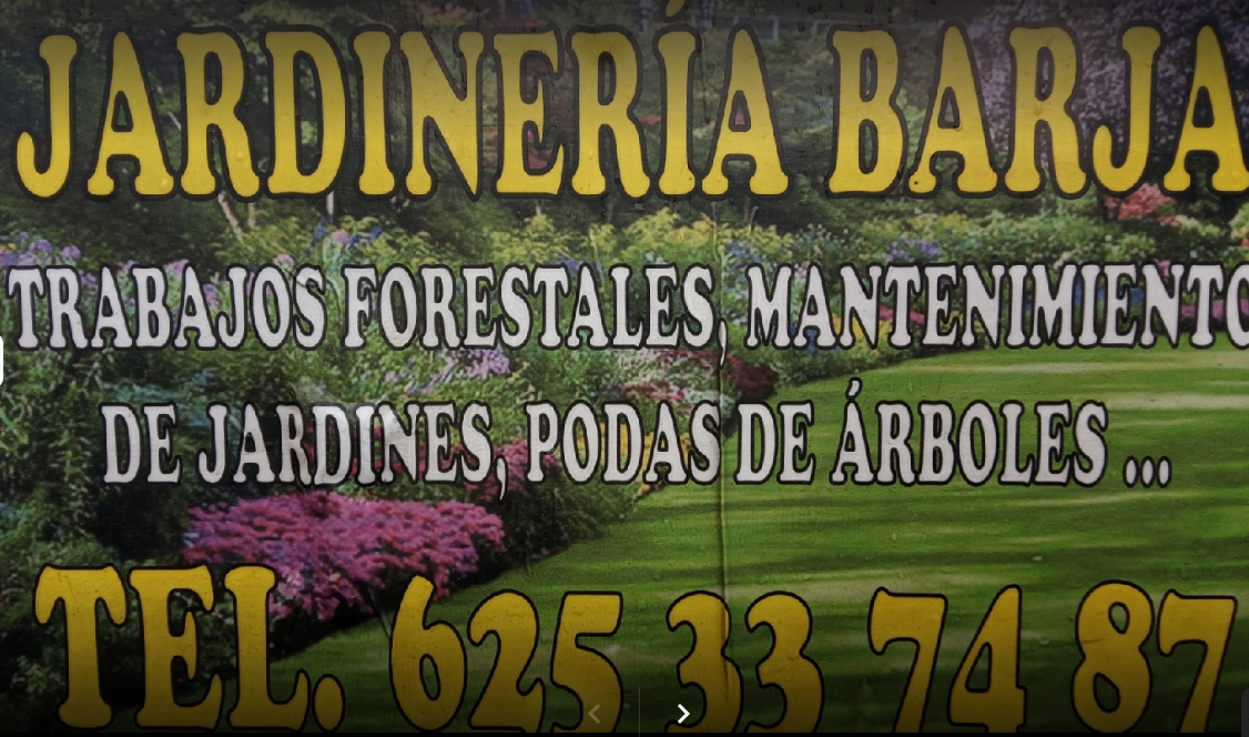 Galería de imágenes