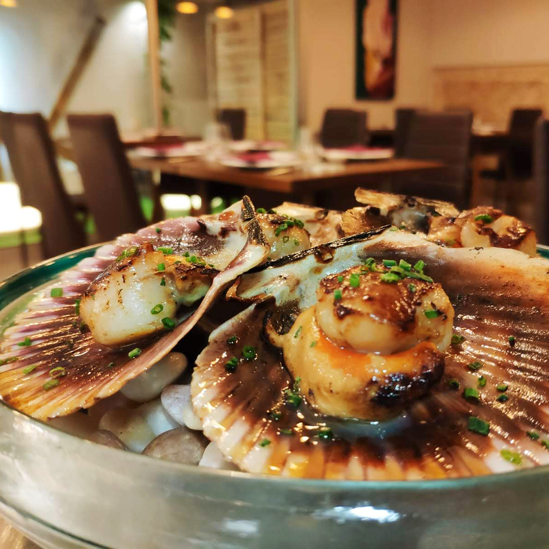 Nikko Espacio Gastronomico 10