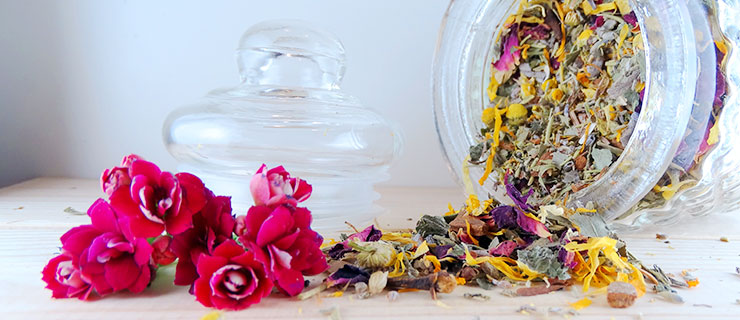 Ayurveda Medicina Natural Lola Pe&ntilde;a 9