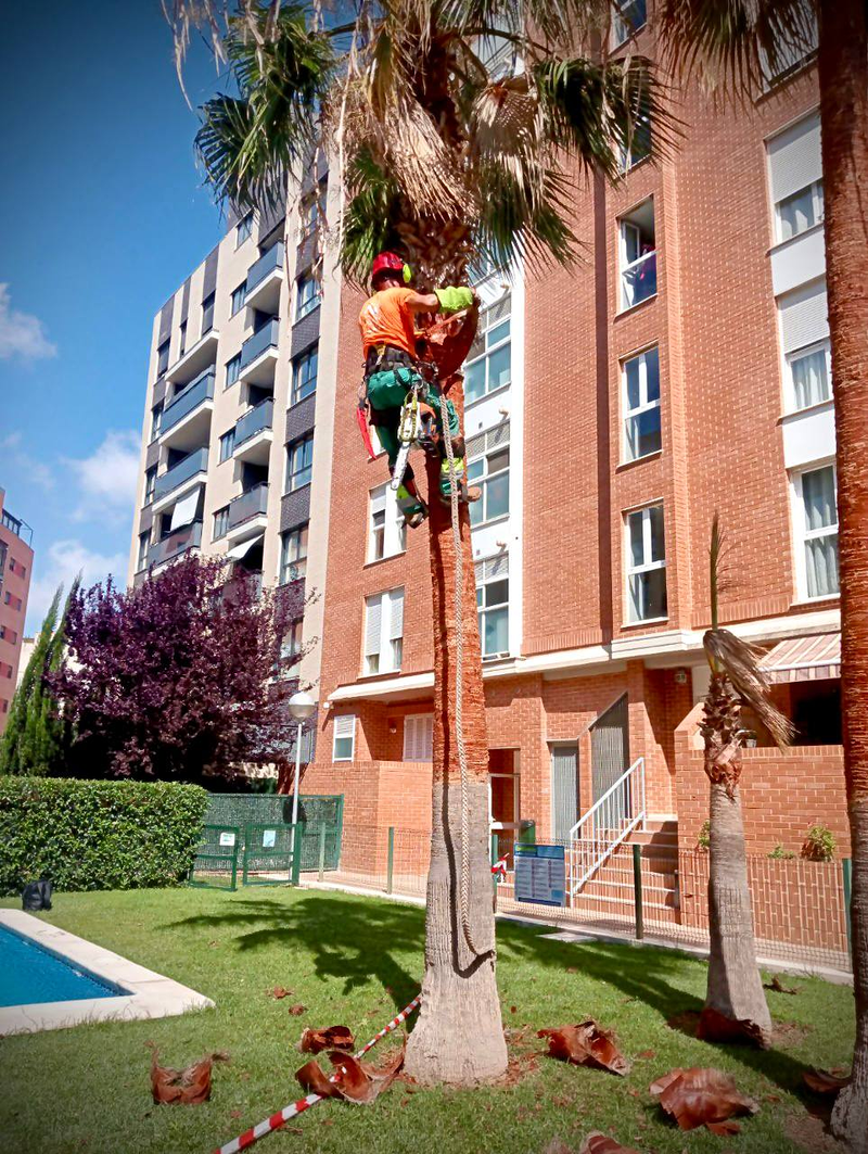 Macambi Working Group 23