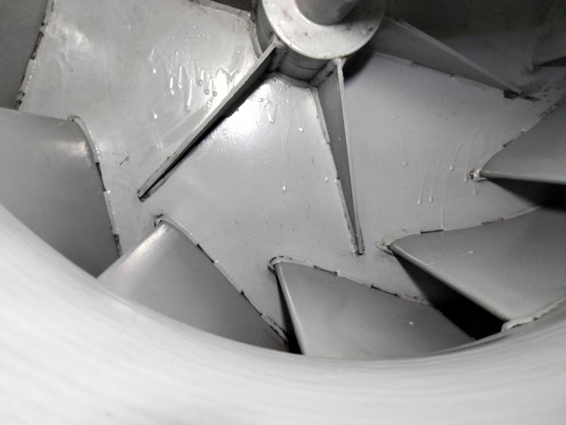 Macambi Working Group 12