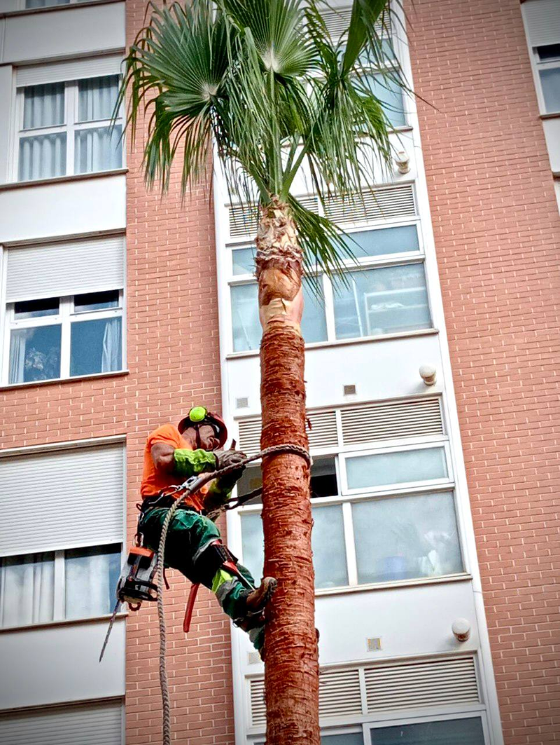 Macambi Working Group 22