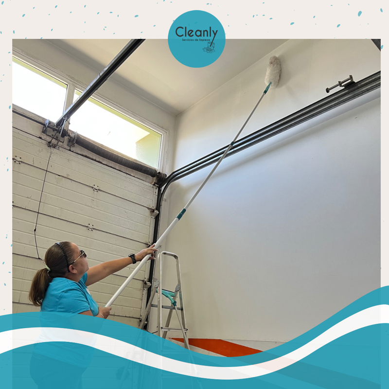 Cleanly Servicios 3