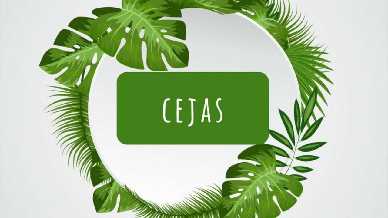 Mar D&iacute;az Estilistas 6