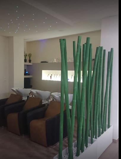 Galería de imágenes