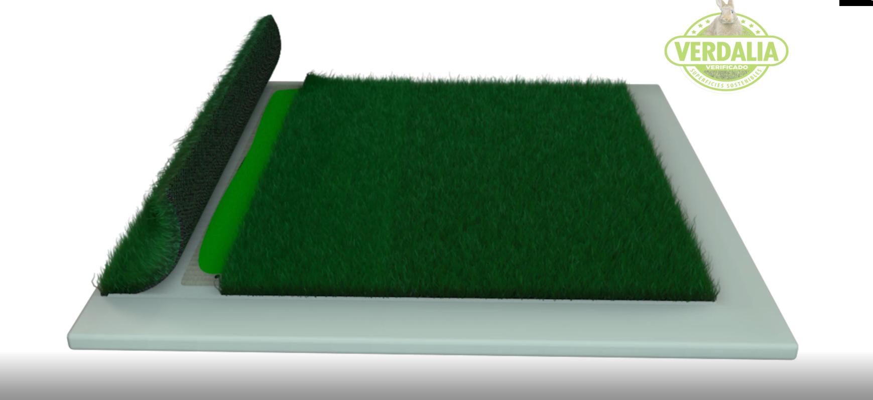 Galería de imágenes