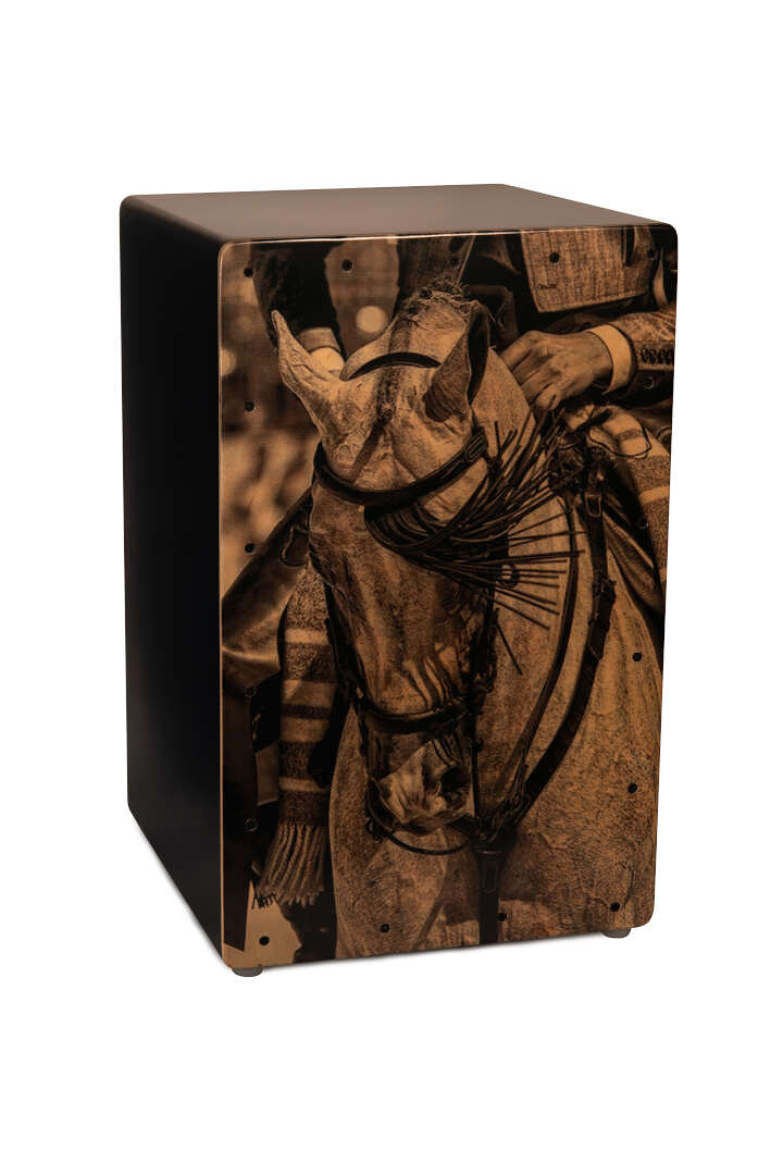 Do&ntilde;ana Percusi&oacute;n 8