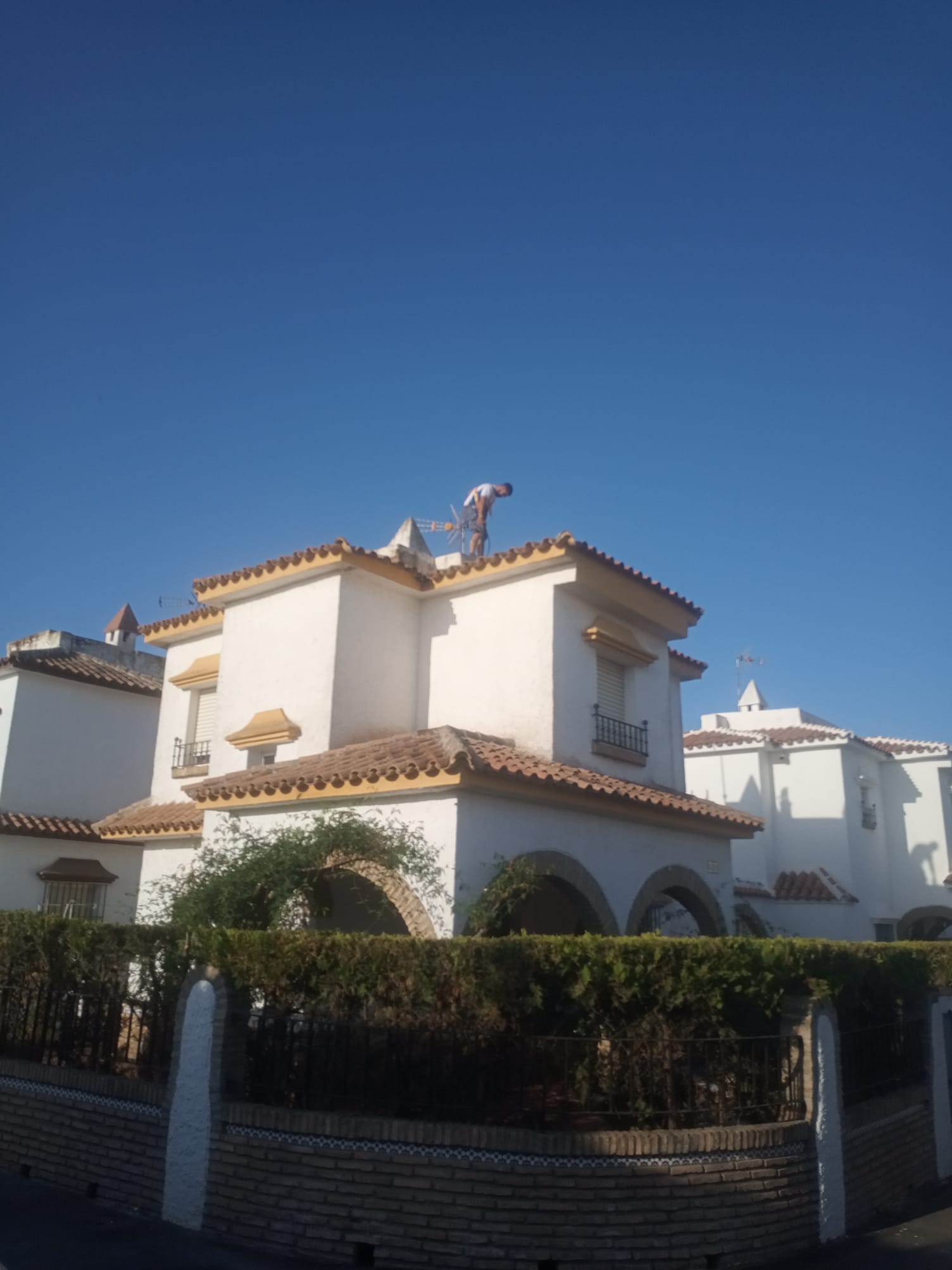 Galería de imágenes