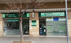 Galería de imágenes