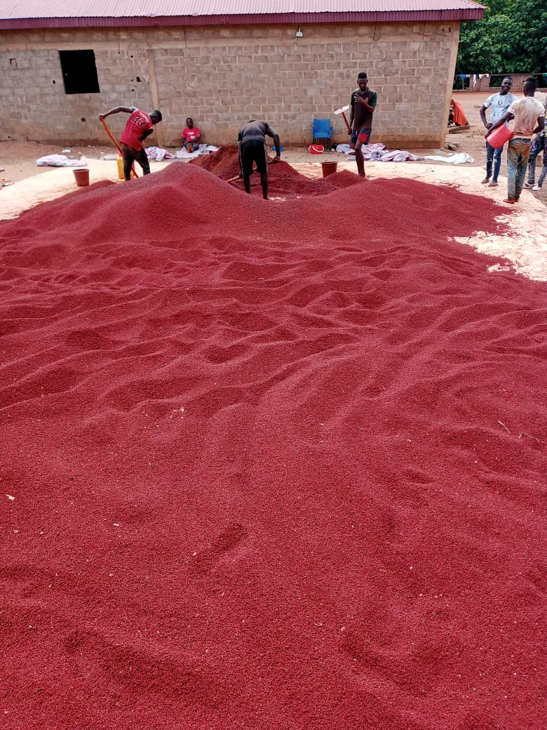 St&eacute;phane Gobbe Import Export S.L. 5