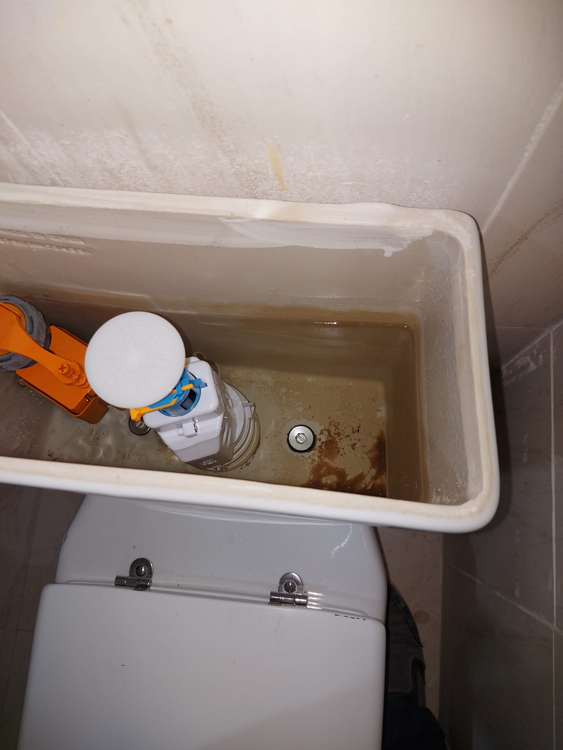 Fontaneros MI Hogar 2