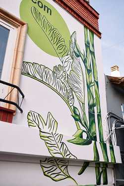 Galería de imágenes