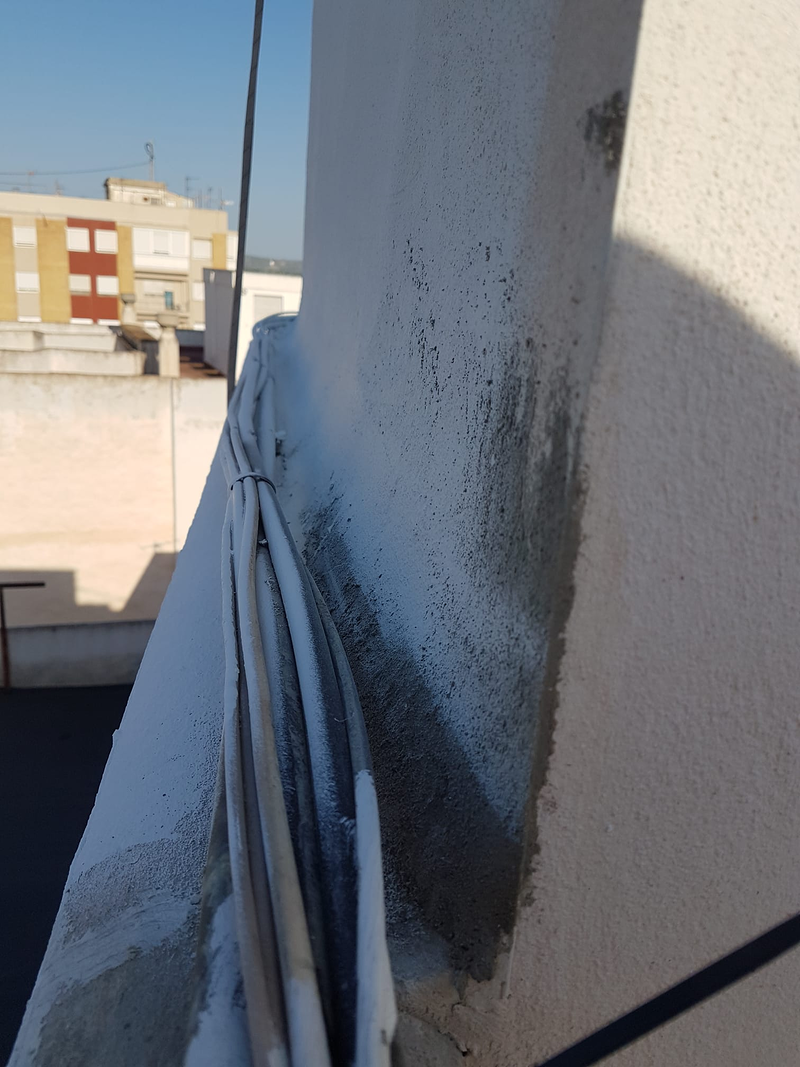 Trabajos Verticales Damar 11