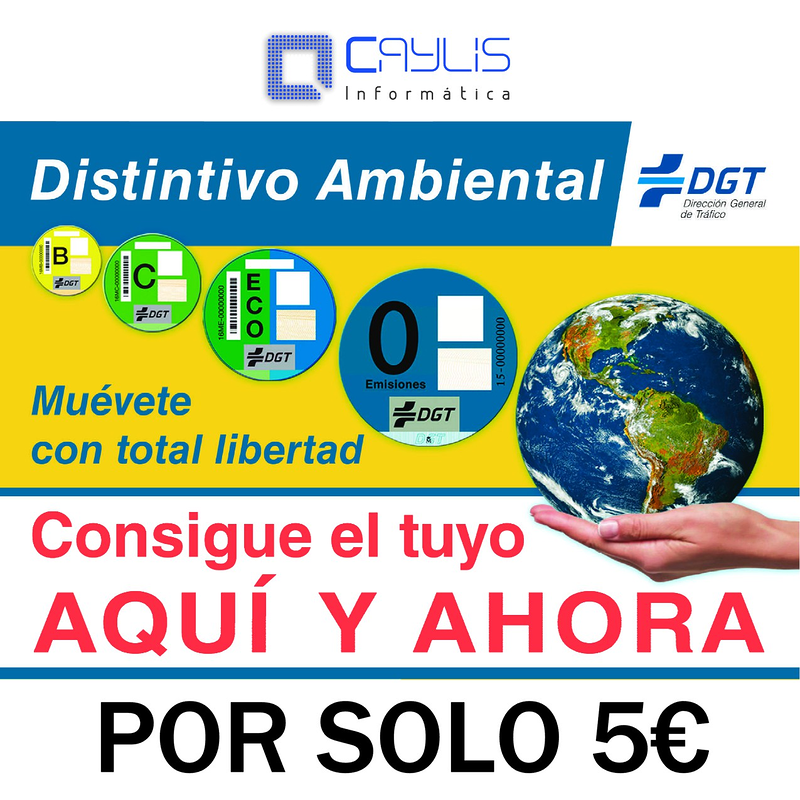 Caylis Informática 12