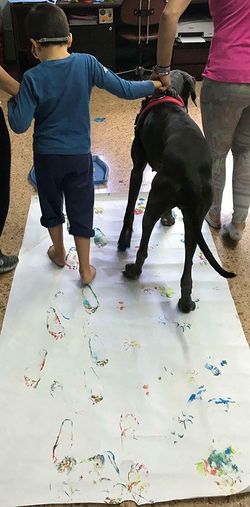 Galería de imágenes