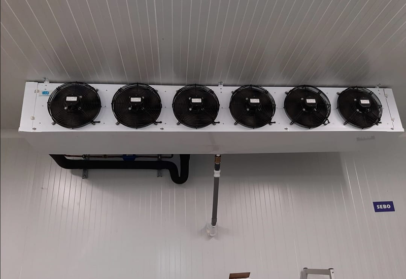 Infriodiel Gibraleón