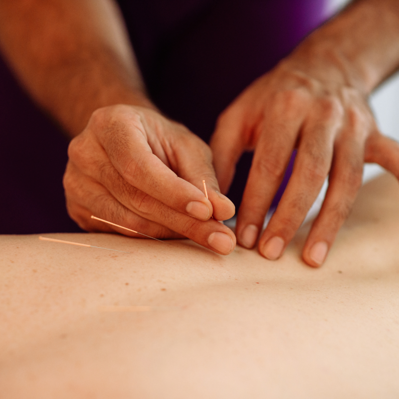 Terapias LaoTao FISIOTERAPEUTAS