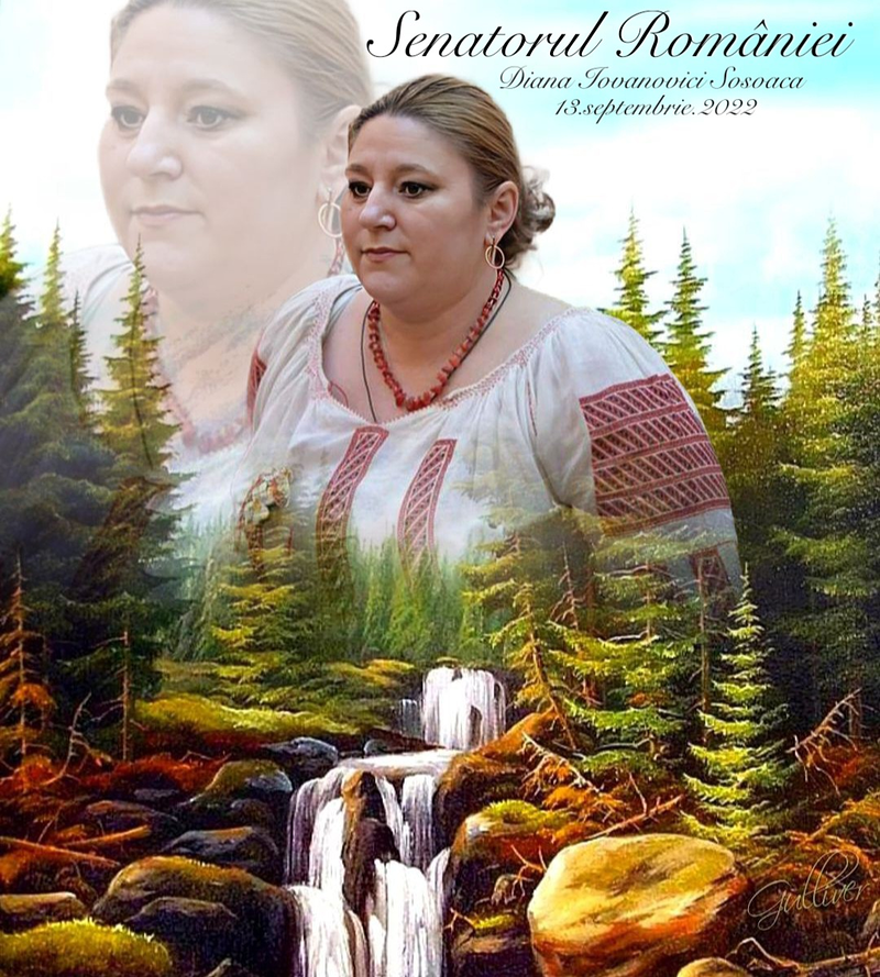 Creador De Contenido 12