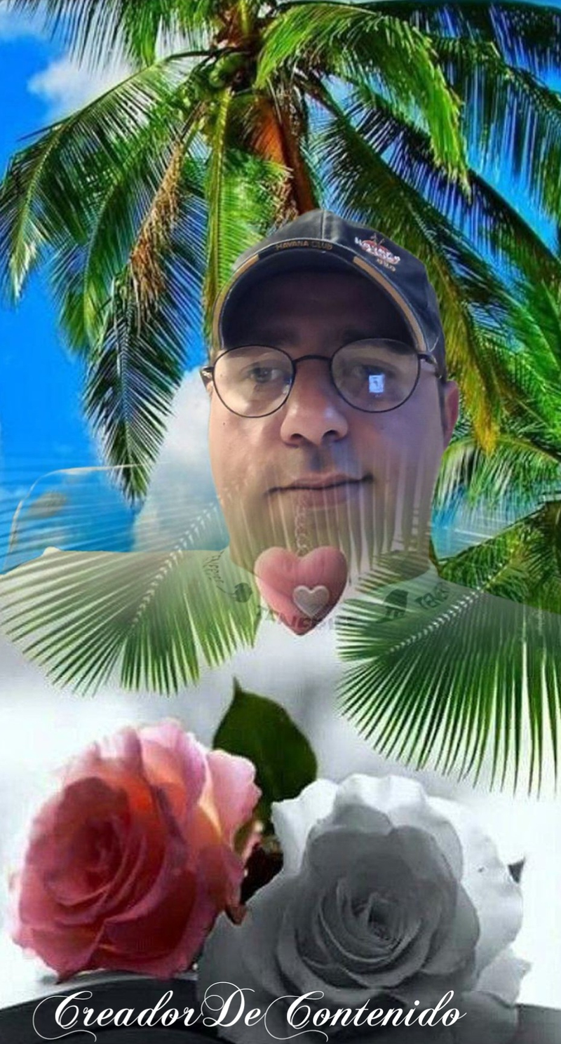 Creador De Contenido 11