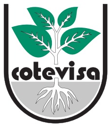 Cotevisa