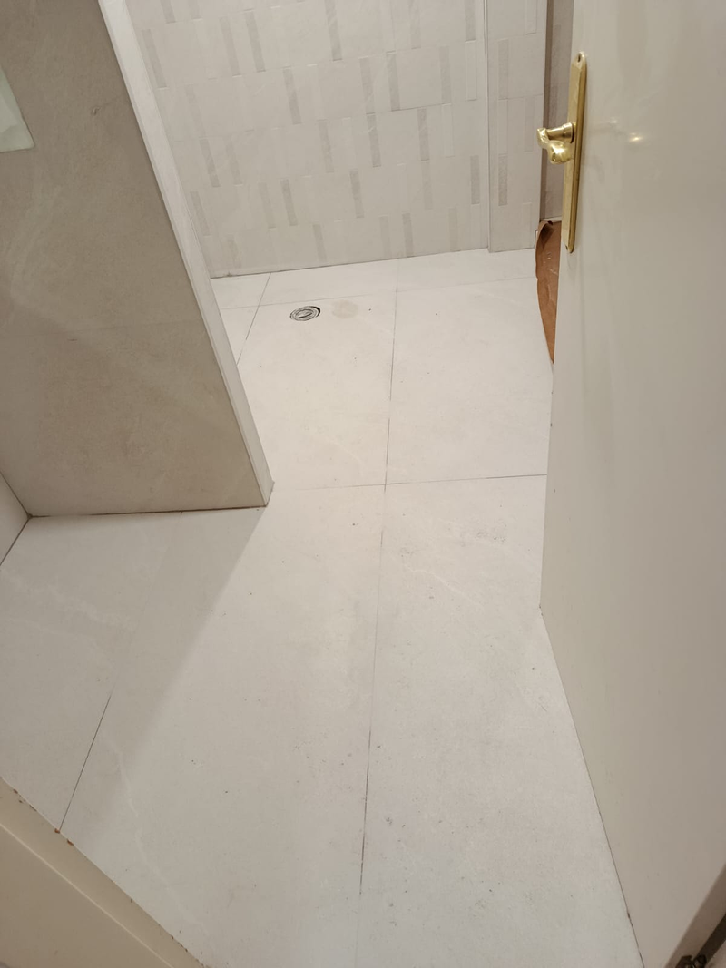 Reformas Jose Alfredo 5