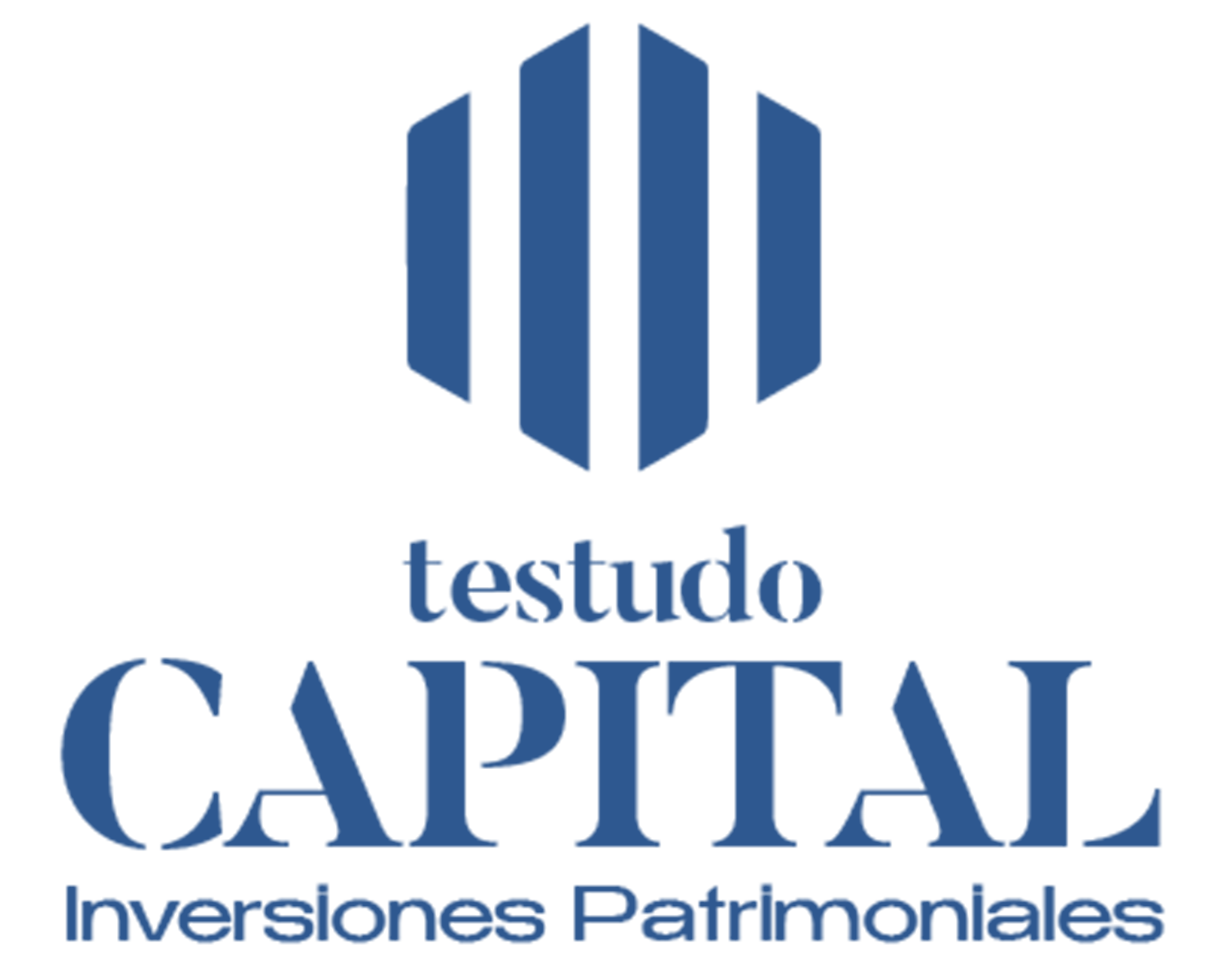 Testudo Capital
