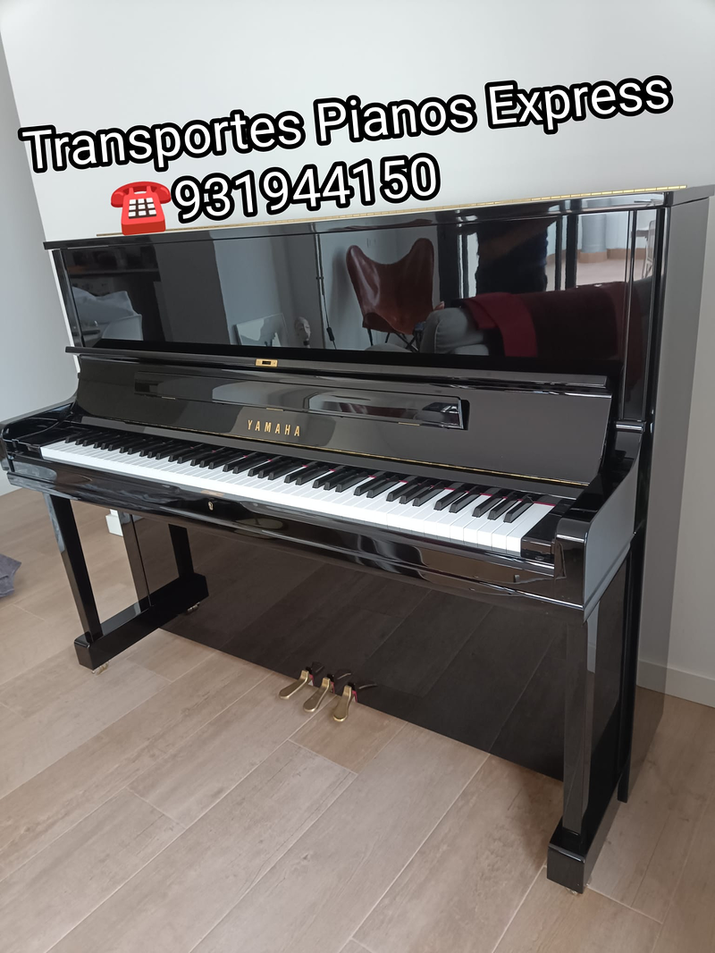 Transportes Pianos Express 22