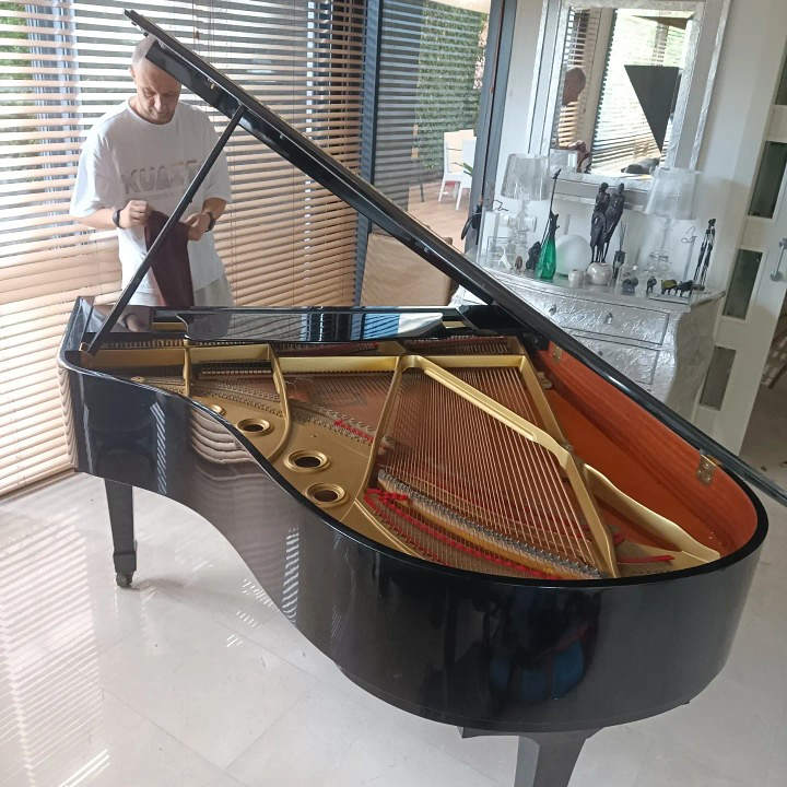 Transportes Pianos Express 30