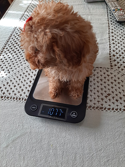 Galería de imágenes