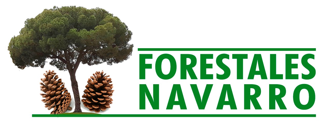 Forestales Navarro
