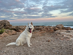 Galería de imágenes