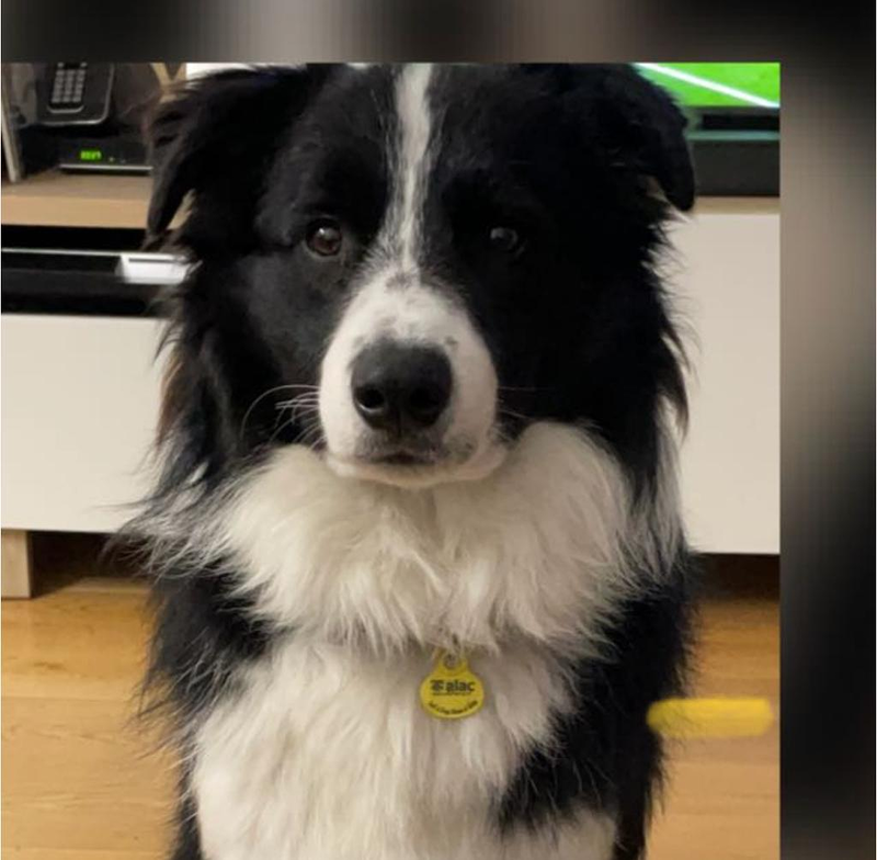 La Granja De Flix Flix