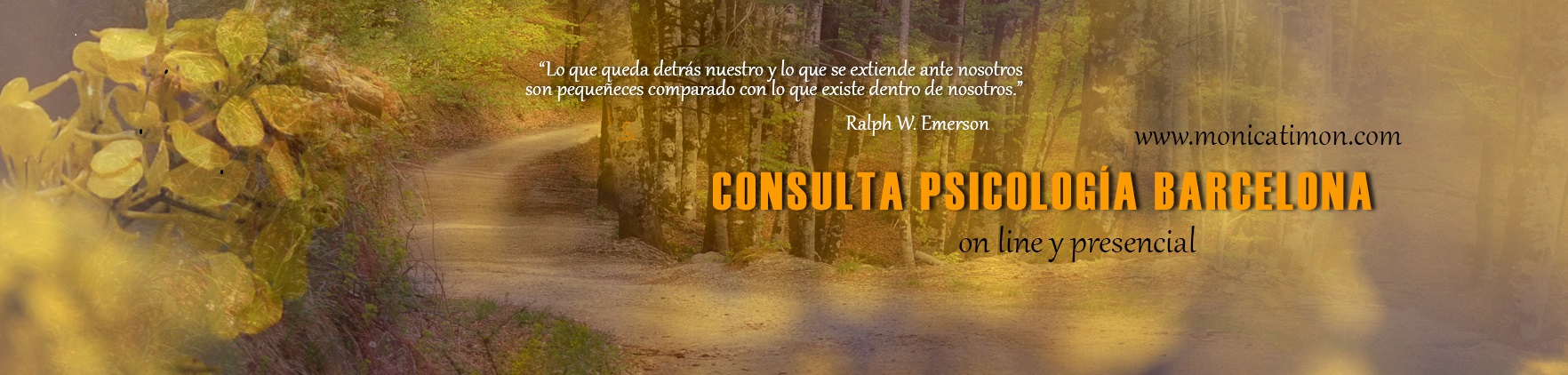 Psicóloga Mónica Timón