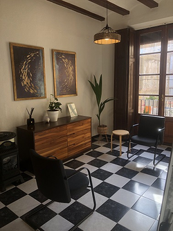 Galería de imágenes