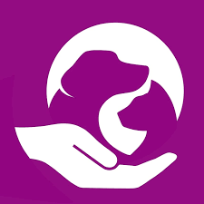 InterAnimals - Alejandra Gomes D'Amaral