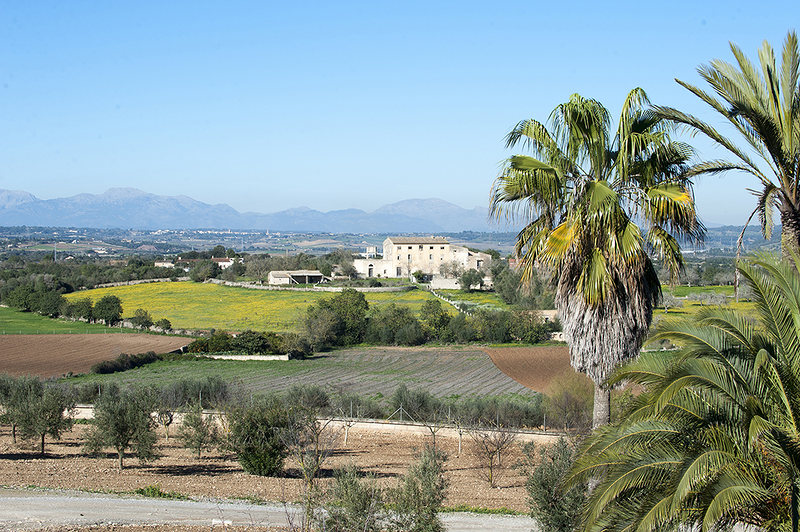 Can Corem de Son Moix 39