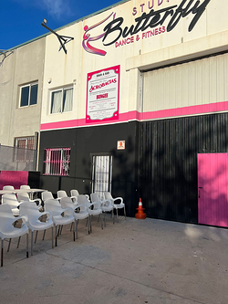 Galería de imágenes