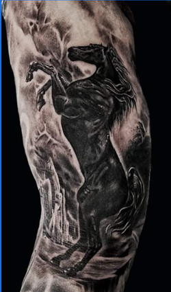 Galería de imágenes