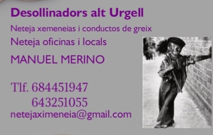 Deshollinadors Alt Urgell 4