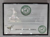 j2m Automoci&oacute;n 6