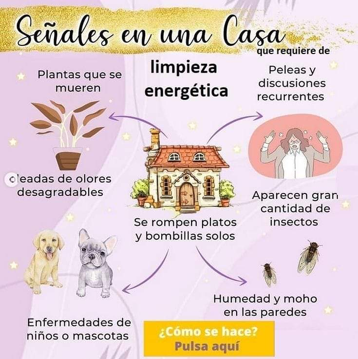 El Universo En Ti - Centro De Quiromasaje Y Terapias Alternativas 13