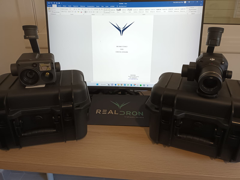 Realdron 26