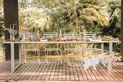 Galería de imágenes