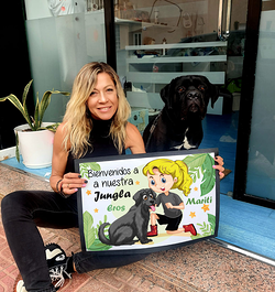 Galería de imágenes