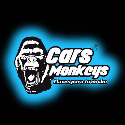Cars Monkeys Llaves para tu Coche