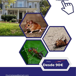 Galería de imágenes