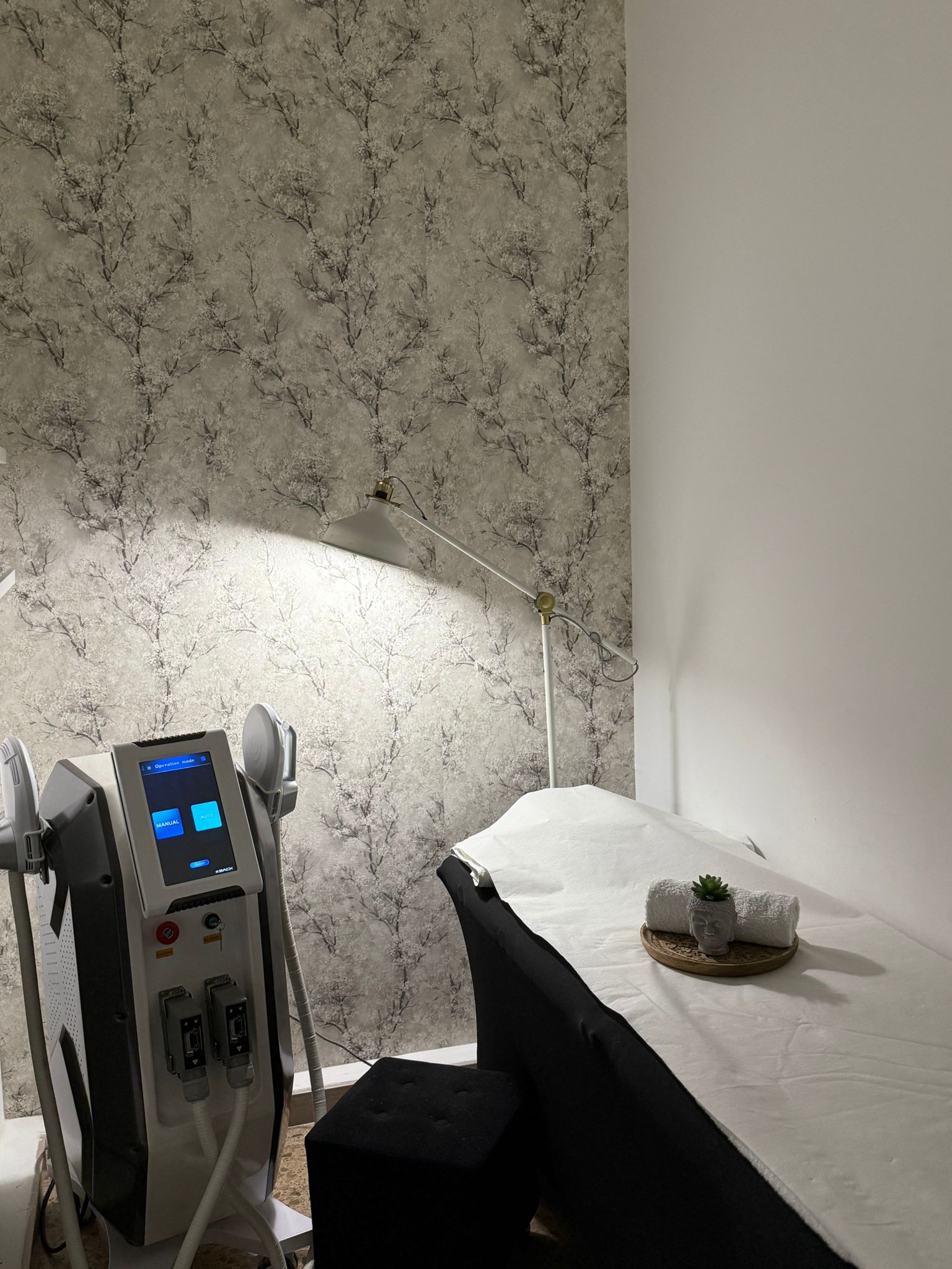 Galería de imágenes