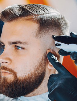 Galería de imágenes