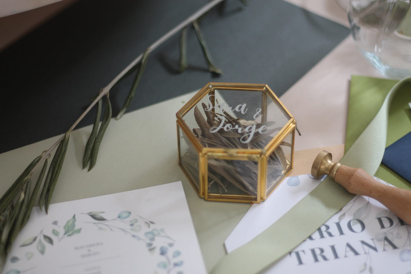 El Micalet al Cap 17