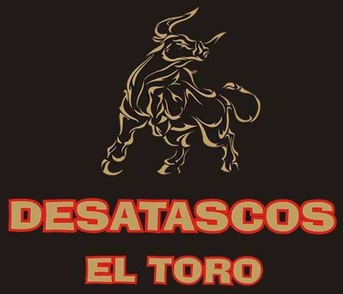 Desatascos El Toro